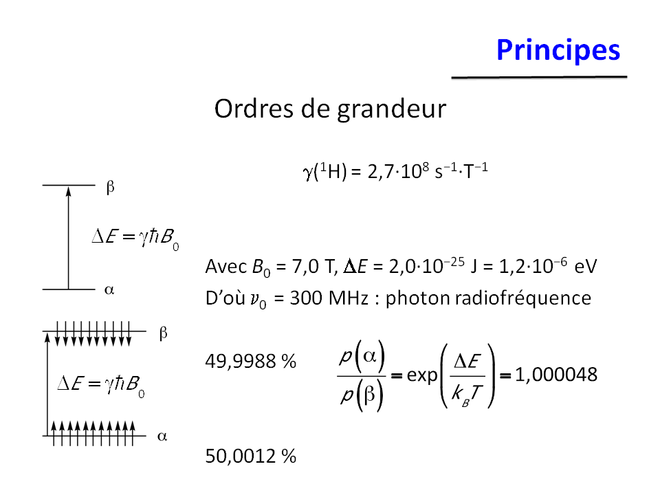 TZ03.pdf